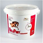 Orling Gelapony Selenium 0,6 kg – Hledejceny.cz