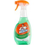 Mr. Muscle přípravek na čištění oken 500 ml – Sleviste.cz