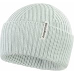Salomon Snowbird čepice misty blue LC2329700 – Hledejceny.cz