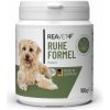 Vitamíny pro psa Reavet prášek na zklidnění 100 g