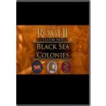 Total War: ROME 2 Black Sea Colonies Culture Pack – Hledejceny.cz