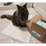 Delphino jednorázové absorpční podložky 60 x 90 cm 25 ks – Sleviste.cz