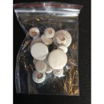 Belltone podlepky kožené pro Bb klarinet – Zboží Dáma