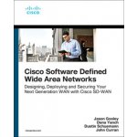 Cisco Software-Defined Wide Area Networks - Jason Gooley, Dana Yanch, Dustin Schuemann, John Curran – Hledejceny.cz