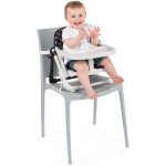 Chicco Chairy Podsedák přenosný Sweetdog – Zboží Mobilmania