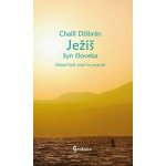 Ježiš Syn človeka - Chalíl Džibrán – Hledejceny.cz