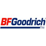 BFGoodrich Advantage 205/55 R16 91H – Hledejceny.cz