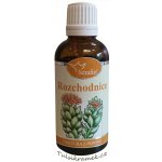 Serafin Rozchodnice tinktura z pupenů rostlin 50 ml – Hledejceny.cz