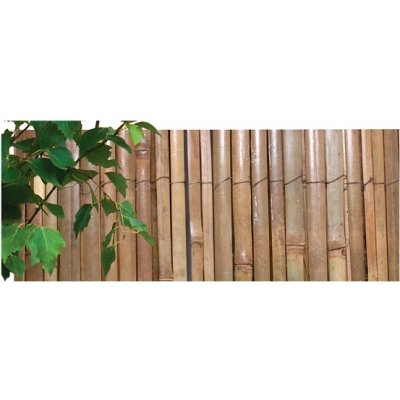 Rohož/bambus št/ 1.5x5m/GFeD/ – Hledejceny.cz