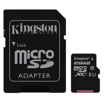 Kingston SDXC UHS-I U3 256 GB SDCG3/256GB