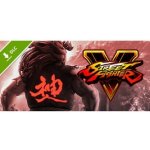 Street Fighter V - Season 2 Character Pass – Sleviste.cz