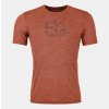 Pánské sportovní tričko Ortovox pánské merino triko 120 Cool Tec Mtn Logo Ts clay orange blend