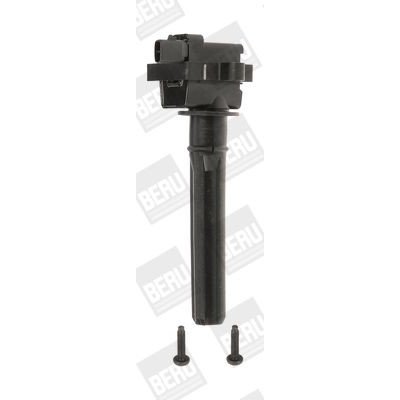 Zapalovací cívka BorgWarner (BERU) ZS431 – Hledejceny.cz
