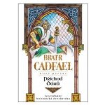 Příchod Dánů - Petersová Ellis – Zboží Mobilmania