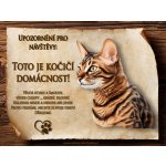 Cedulky-sporthobby 109 Cedulka Kočka Toyger Čeština 20 x 15 cm – Hledejceny.cz