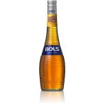 Bols Apricot 24% 0,7 l (holá láhev) – Sleviste.cz