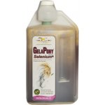 Gelapony Selenium Biosol 3 l – Hledejceny.cz
