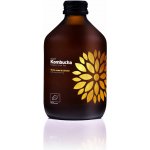 Vigo Kombucha Yerba Maté BIO 330 ml – Zboží Mobilmania