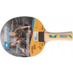 Donic Legends 300 – Sleviste.cz