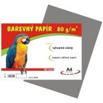 Barevný papír A4 100/80 g šedý Stepa s.r.o.