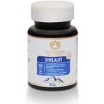 Maharishi Ayurveda Shilajit 60 tablet – Hledejceny.cz