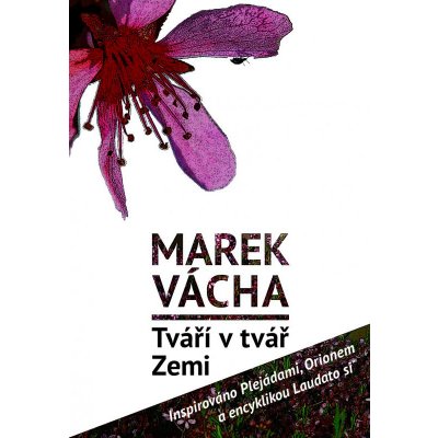 Tváří v tvář Zemi. Inspirováno Plejádami, Orionem a encyklikou Laudato si´ - Marek Orko Vácha – Zbozi.Blesk.cz