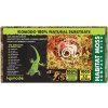 Komodo Habitat Moss compact brick 100 g