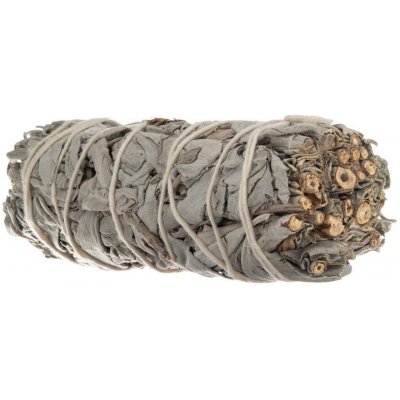 Bilovit Kadidlo Šalvěj Bílá 22 g – Zbozi.Blesk.cz