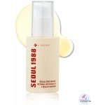 Seoul 1988 Retinal Liposome 2% + Black Ginseng serum 30 ml – Zboží Dáma