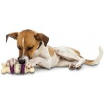 Petsafe Busy Buddy Bristle Bone S – Sleviste.cz