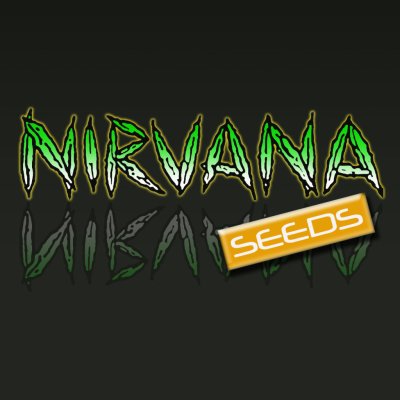 Nirvana Bubblelicious semena neobsahují THC 5 ks – Zboží Dáma