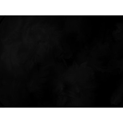 Dekorační peří černé - peříčka černá – Zboží Dáma