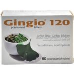 GINGIO POR 120MG TBL FLM 60 – Hledejceny.cz