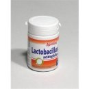 Apotheke Lactobacillus acidophilus 60 tablet