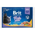 Brit Premium Cat Delicate Fillets in Gravy Cod fish Salmon and Trout 4 x 100 g – Sleviste.cz