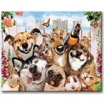 Zuty Malování podle čísel VESELÁ ZVÍŘATA – Zboží Dáma