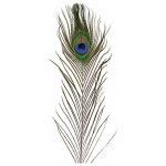 Veniard Peacock Eye Top Paví oko olivová – Hledejceny.cz