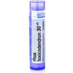 RHUS TOXICODENDRON POR 30CH GRA 4G – Hledejceny.cz