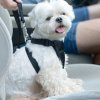 Potřeby pro cestování se psem CarPoint Bezpečnostní pás popruh do auta vesta pro psa S