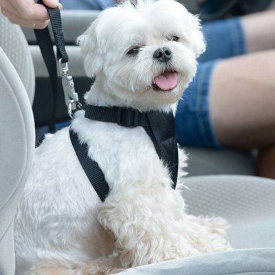 CarPoint Bezpečnostní pás popruh do auta vesta pro psa S