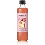 Zakwasownia Oxymelek pro děti Raspberry 250 ml – Hledejceny.cz