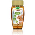 4Slim Čekankový sirup Originál 250 g – Zboží Dáma