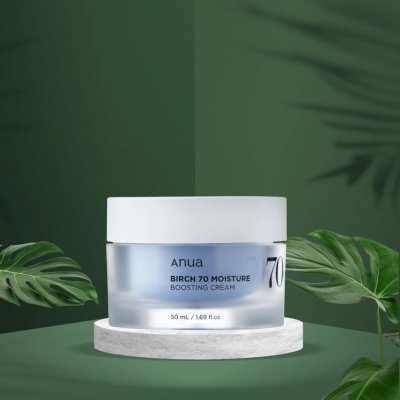 Anua Birch 70 Moisture Boosting Cream 50 ml – Zboží Mobilmania