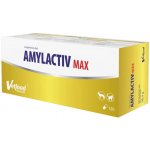 Vetfood Trávicí enzymy Amylactiv MAX 120 kapslí – Hledejceny.cz