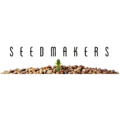 Seedmakers Cheex semena neobsahují THC 5 ks – Zboží Mobilmania