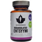 Puhdistamo Digestive Enzymes 30 kapslí – Hledejceny.cz
