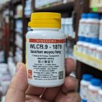Sinecura WLCB.9-1879 baochan wuyou fang 60 tablet – Hledejceny.cz