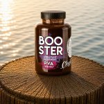 Chytil Booster Famózní Švestka 300 ml – Sleviste.cz