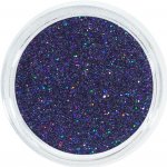 Aglia VIOLET HOLOGRAM glitry na nehty 2 g – Hledejceny.cz