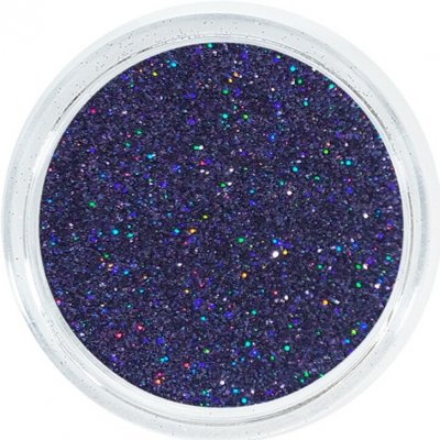 Aglia VIOLET HOLOGRAM glitry na nehty 2 g – Hledejceny.cz